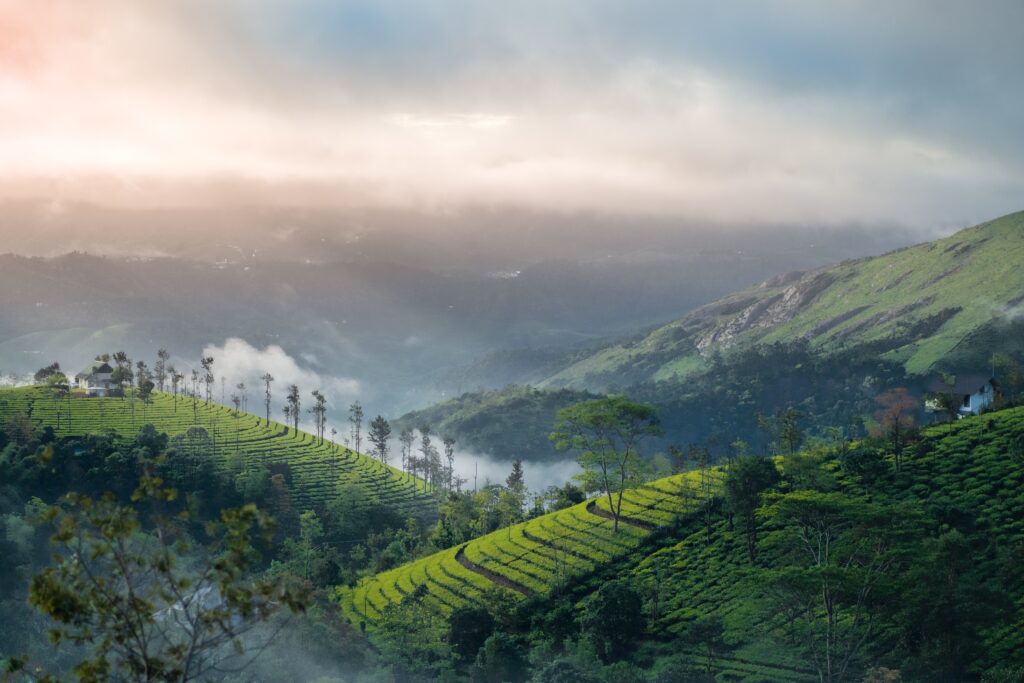 Top 3 Best Kerala Hill Stations For Vacation 2023