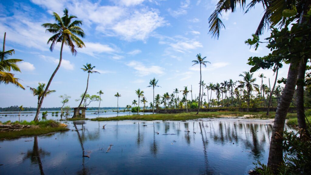 Best Kerala Beaches 2023